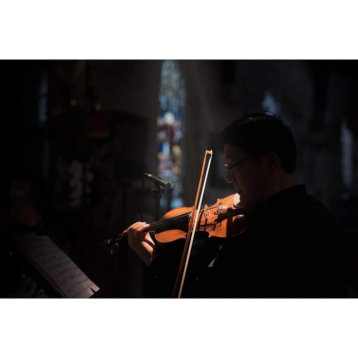 �DE TF-5 Два малих діафрагмових конденсаторних мікрофони (узгоджена пара) для запису оркестрової музики та музичного продакшну