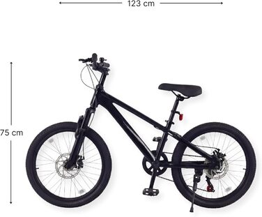 Велосипед Laguna - дитячий гірський велосипед - рама з алюмінієвого сплаву - 20 дюймів - сірий/чорний