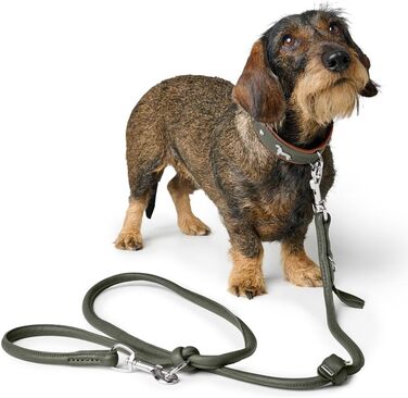 Нашийник для такси Мюнхен, колір коньяк/чорний, шкіра, вишукані декоративні елементи для такс, м'який та міцний, не пошкоджує шерсть, розкішний, екологічно виготовлений, стійкий, вироблено в Німеччині, розмір 32 коньяк/чорний 32