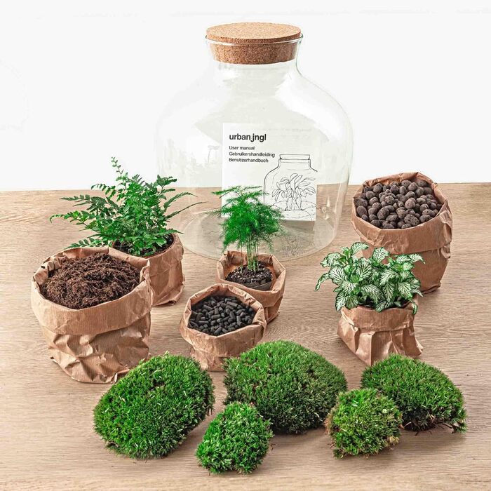 Пляшковий сад Рослини в скляній банці зі світлом 30 см - DIY - Terrarium Complete Set - Тераріум для рослин - urbanjngl Комплект тераріуму (Товстий Джо Грін)