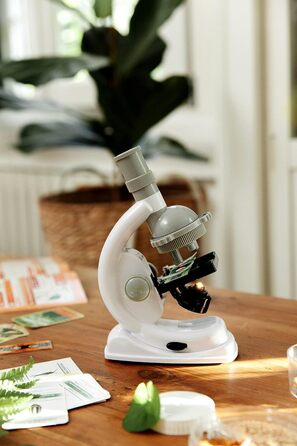 Навчальний набір Galileo Lab Clementoni, мікроскоп Nature Under Microscope