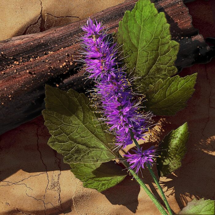 Туалетна вода Davidoff Zino (125 мл)