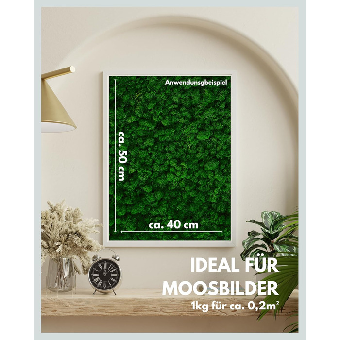 Ісландський мох збережений темно-зелений Прикраса з моху для рукоділля 1 кг справжнього декоративного ісландського моху для малюнків з моху та стін з моху