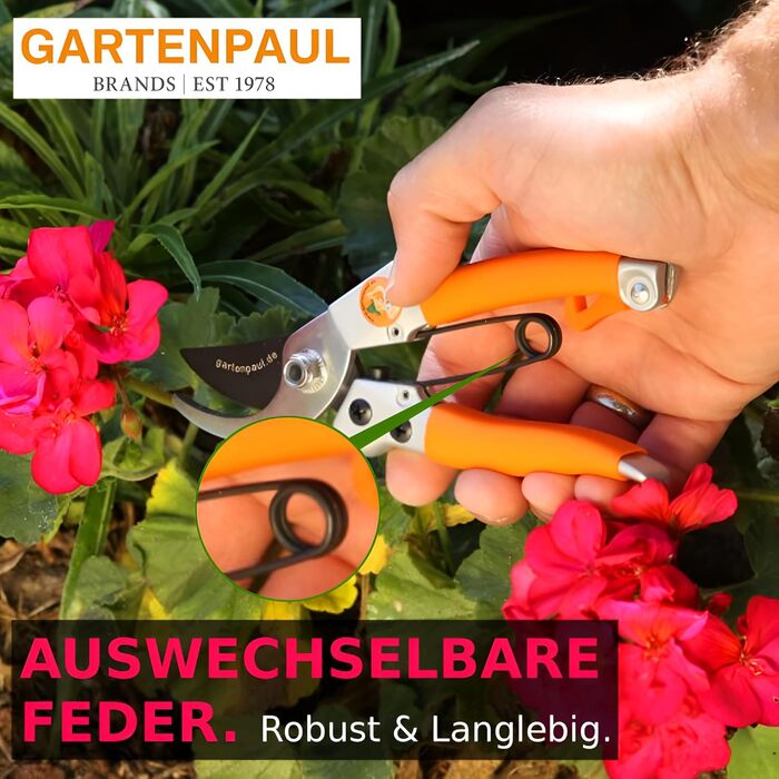 Набір садових ножиць, малий та великий, професійні гібридні садові ножиці з двостороннім механізмом, тріскачка 2.0 з двома приводами жіночі ножиці для маленьких рук, садовий інструмент з тріскачкою, ножиці для рослин, ножиці для квітів