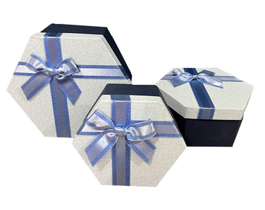 Подарункова коробка UFO WHITE/BLUE 40321-03 19х16х8 см (7032439)