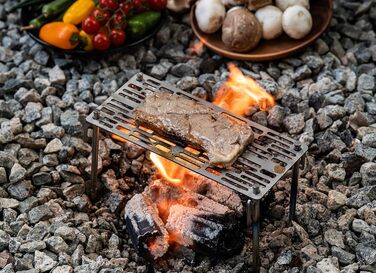 Титанова решітка для гриля iBasingo з кухонними щипцями для барбекю, надлегкий аксесуар для гриля на свіжому повітрі, для кемпінгу, пішого туризму та походів, термостійка пластина для гриля товщиною 2 мм (Ti2023CTi1014T)