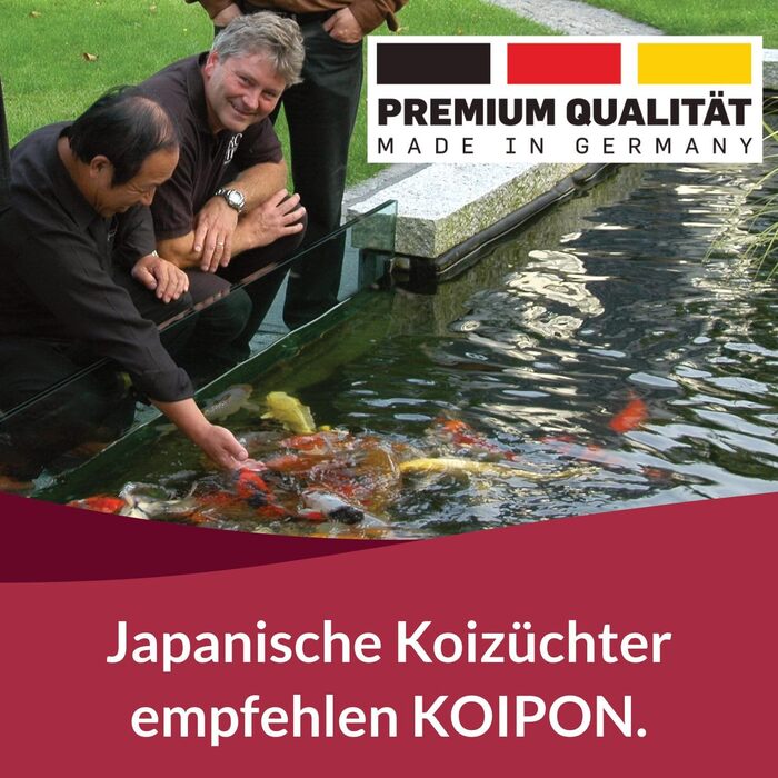 Звичайний літній корм для коропів Коі 1,75 кг, плаваючий, 1 спіруліни, корм для ставка, гранули 6 мм, корм для коропів Коі, придатний як корм для золотих рибок