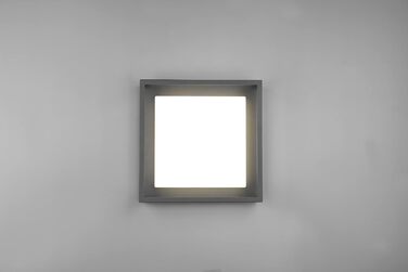 Стельовий світильник Trio Witham 677860142 LED для вулиці, метал антрацит/пластик білий, 10.5 Вт, регульована колірна температура