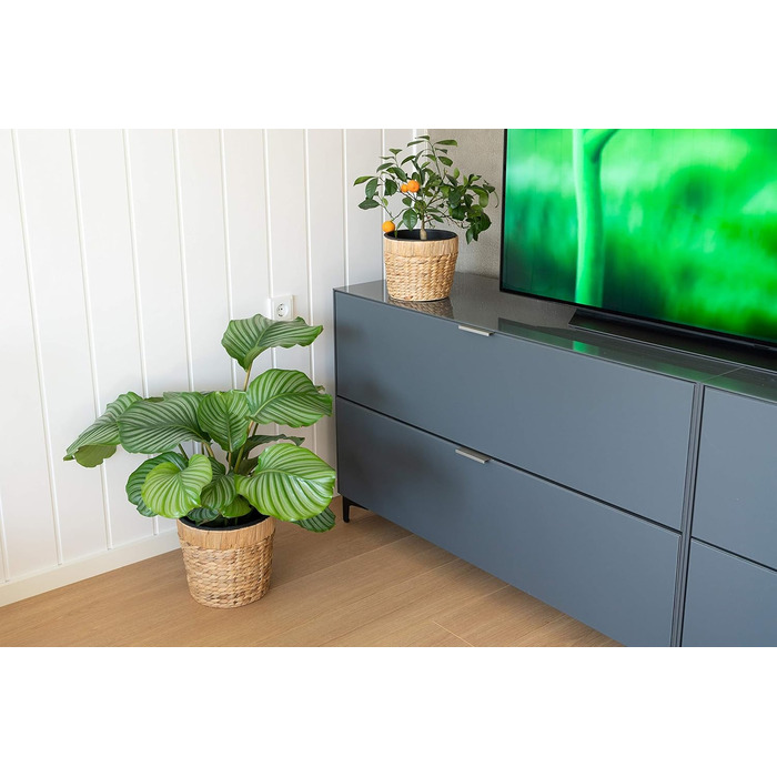 Декоративний набір з 3 круглих плетених квіткових горщиків з морської трави з пластиковими вставками для посадки - горщики для рослин - 16 см 20 см 26 см