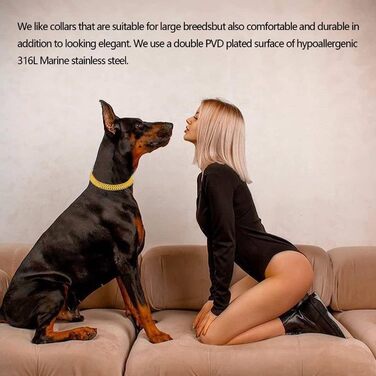 Золотий нашийник для собак, нержавіюча сталь, 18-каратне золото, регульований для прогулянок, металевий, ланцюг Кубинська ланка, міцний, дворядний ланцюг, для великих, малих та середніх собак, 30,540,6 см (12-16 дюймів), 18 каратів