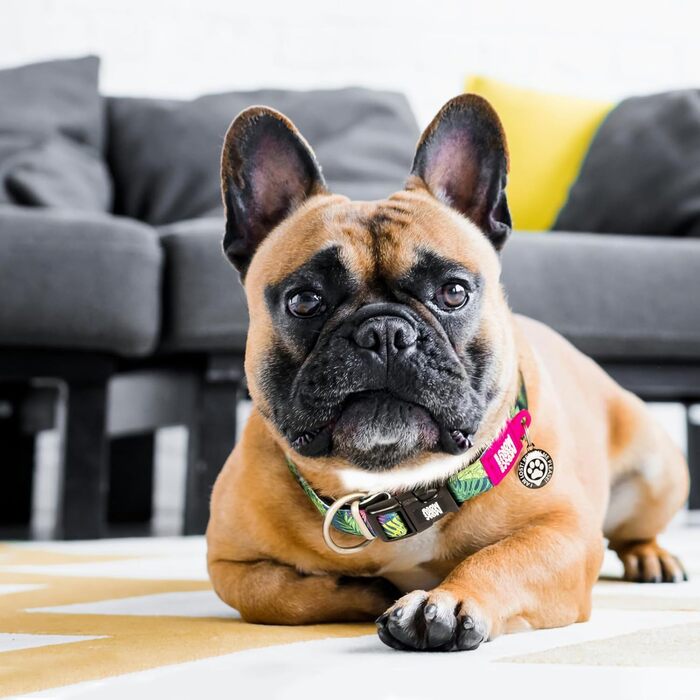 Нашийник для собак з інтелектуальним ідентифікатором, м'який неопреновий нашийник з дизайном для великих собак, водонепроникний, зручний, регульований, Tropical, розмір L