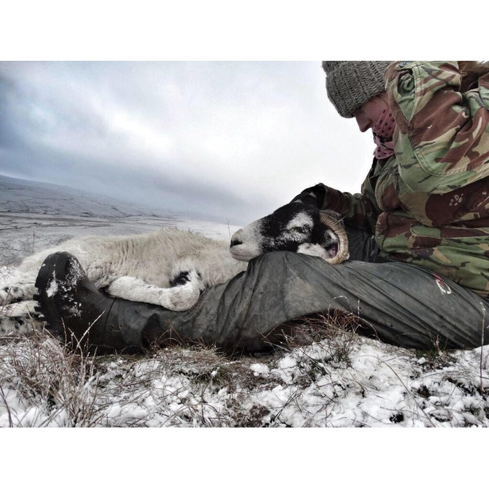 Чоловічі захисні чоботи зеленого кольору, 46 EU, суцільний колір